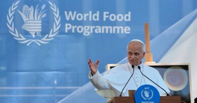 Famines : Le pape Léon XIV dénonce « la bureaucratisation » de l'aide