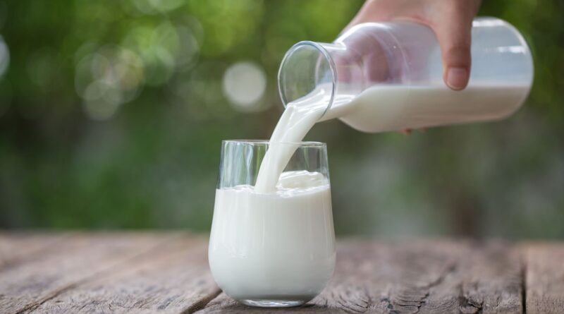 Faut-il arrêter de boire du lait de vache ? Deux visions s'opposent.