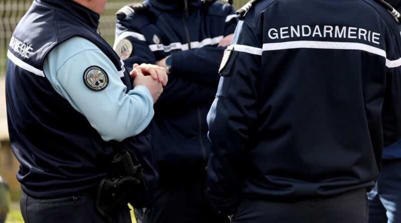 Gard : La fillette de 3 ans disparue lundi est retrouvée saine et sauve.