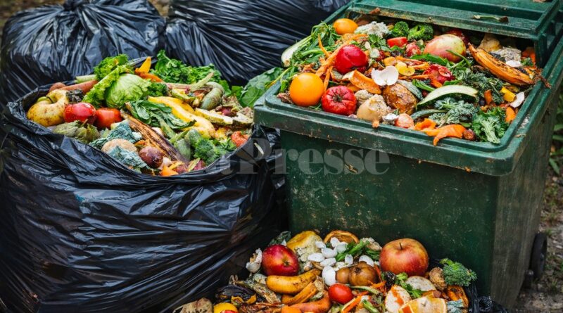 Gaspillage alimentaire chez les ménages : des chiffres alarmants.
