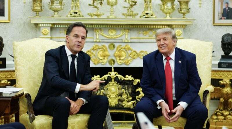 Guerre au Moyen-Orient : Trump déclare à Rutte que l'Otan a "laissé tomber" les États-Unis