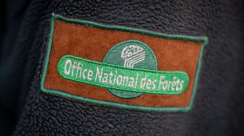 Incendie géant dans l'Aude : un agent de l'ONF mis en examen