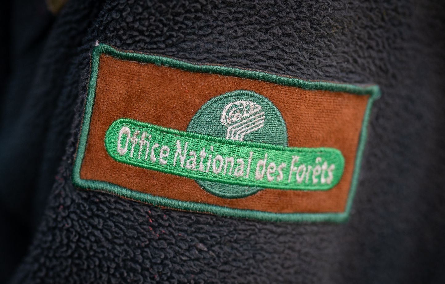 Incendie géant dans l'Aude : un agent de l'ONF mis en examen