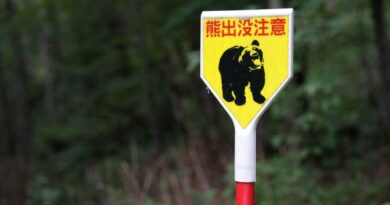 Japon : Cent écoles fermées, dizaines de chasseurs à Utsunomiya