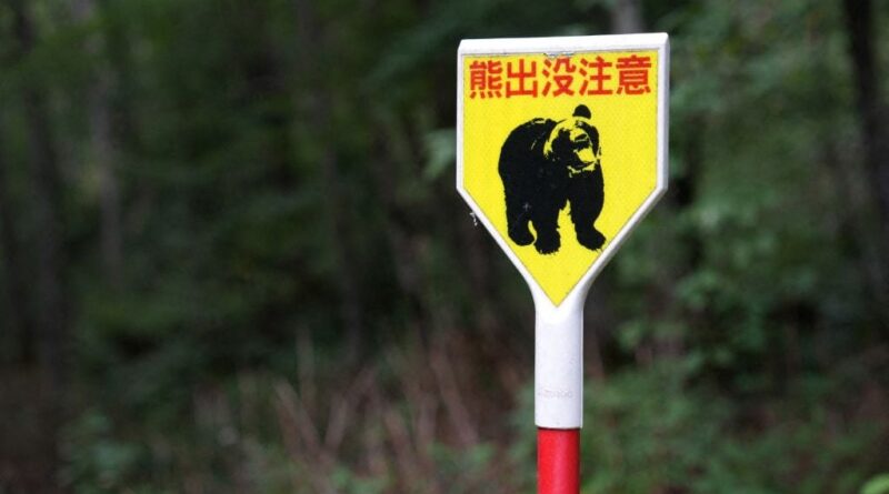 Japon : Cent écoles fermées, dizaines de chasseurs à Utsunomiya