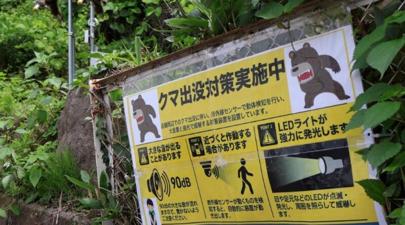 Japon : Distribution de sprays anti-ours dans les écoles de Tokyo
