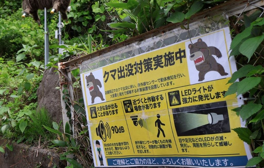 Japon : Distribution de sprays anti-ours dans les écoles de Tokyo