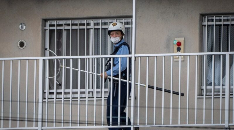 Japon : Un ours capturé après quatre jours d'errance urbaine