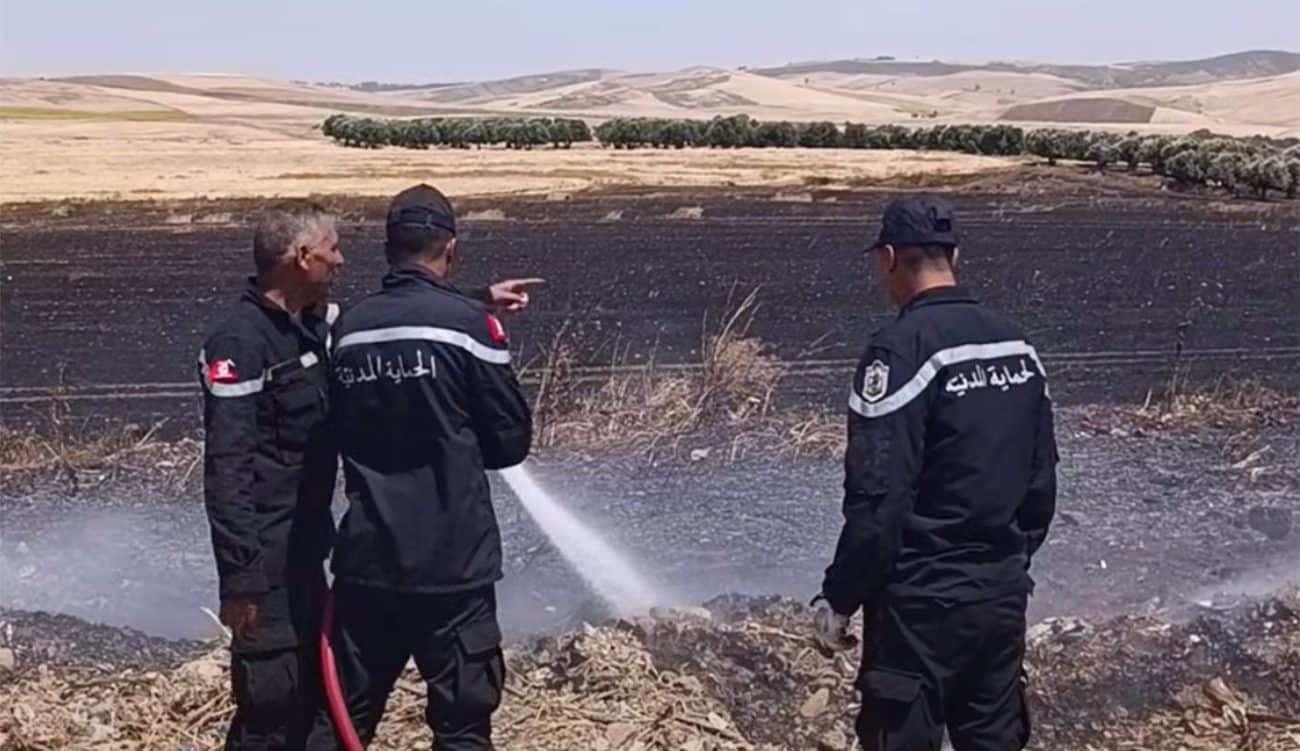Jendouba : la protection civile ne maîtrise pas un incendie à Sidi Mbarek