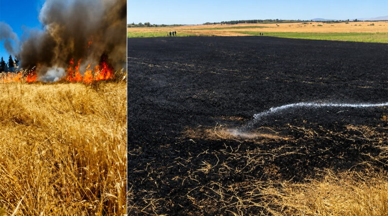 Jendouba : un hectare de blé dur détruit par incendie