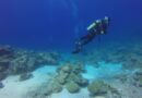 Jeune plongeuse sauvée après huit heures de dérive en mer Méditerranée