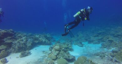 Jeune plongeuse sauvée après huit heures de dérive en mer Méditerranée