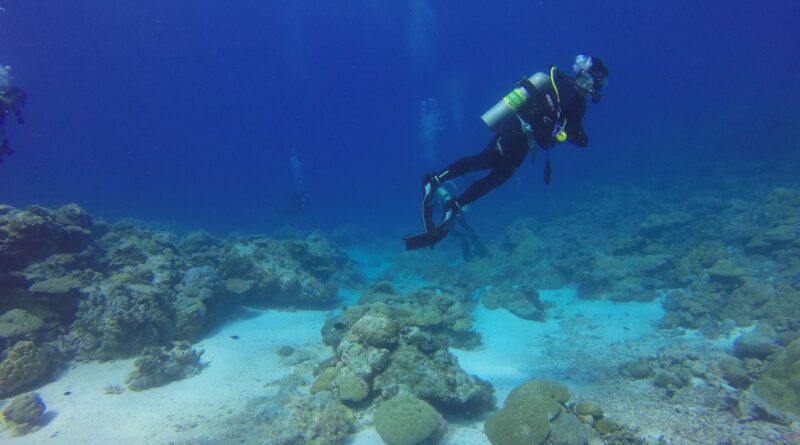 Jeune plongeuse sauvée après huit heures de dérive en mer Méditerranée