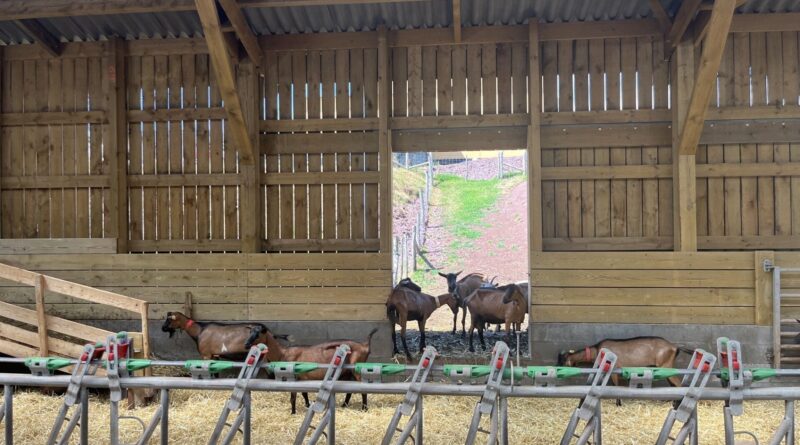 Journées portes ouvertes des fermes de Wallonie ce week-end.