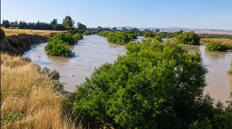 Kef : le barrage de Mellègue supérieur sera achevé bientôt