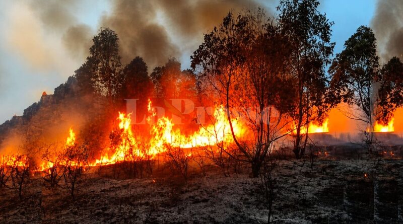 Kef : un incendie ravage 120 hectares de terres agricoles à Nebeur