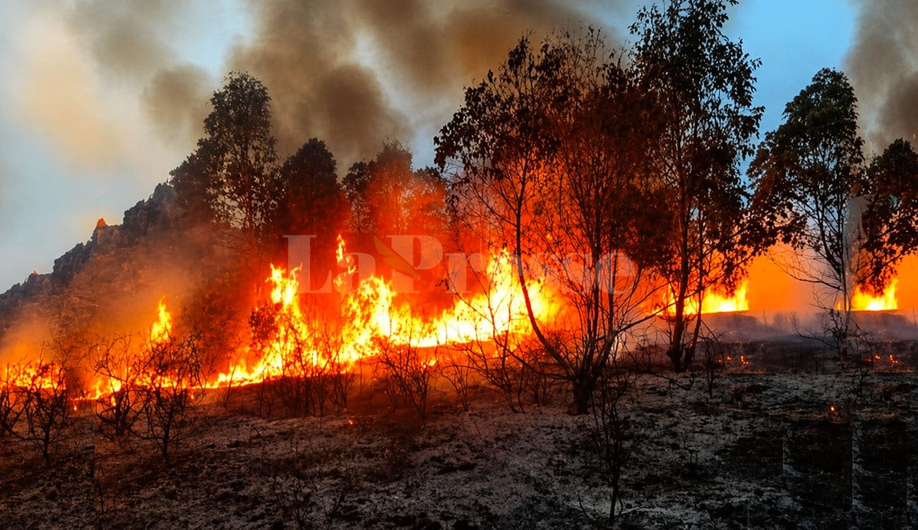 Kef : un incendie ravage 120 hectares de terres agricoles à Nebeur