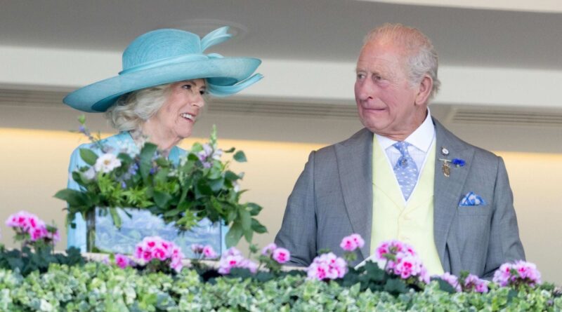 La fiche d’impôts du roi Charles III publiée pour « clarté et accessibilité »