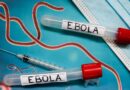 La France confirme un premier cas d’Ébola.