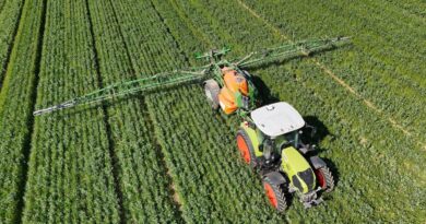 Le Liban accuse Israël d'avoir utilisé du glyphosate avant la guerre.