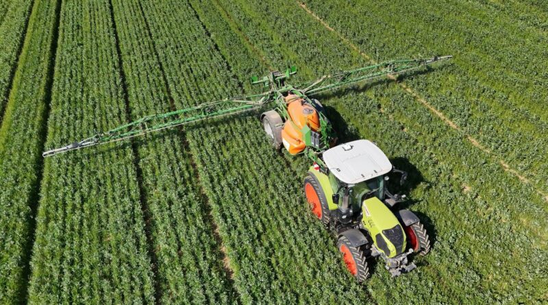 Le Liban accuse Israël d'avoir utilisé du glyphosate avant la guerre.