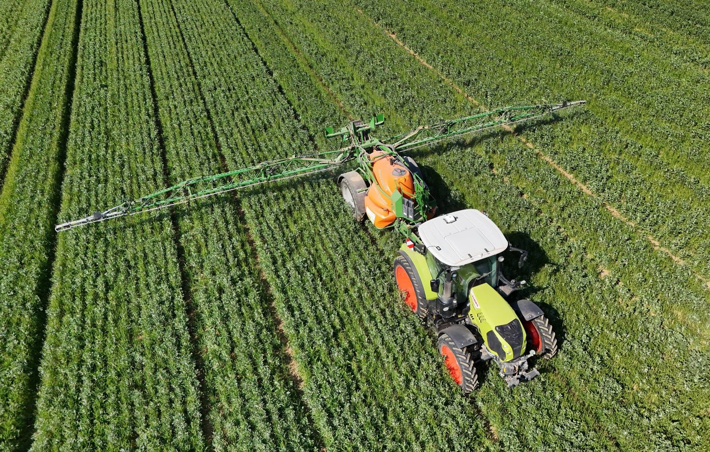 Le Liban accuse Israël d'avoir utilisé du glyphosate avant la guerre.