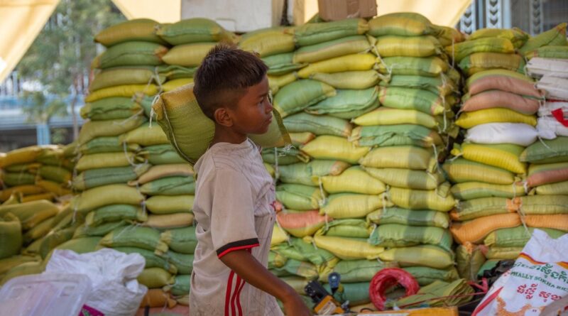 Les enfants ne sont pas les premières victimes des aliments insalubres.