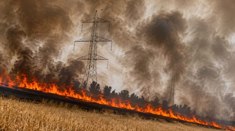 Manouba : 10 hectares de céréales détruits par un incendie