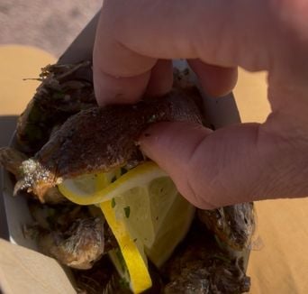 Marseille : La sardine en boîte, panée, grillée à emporter revient.