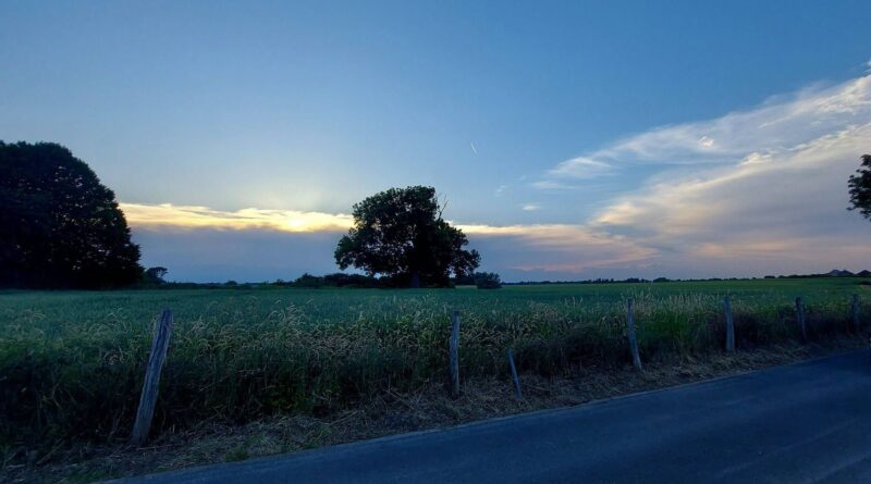 Météo de ce samedi : températures supérieures à 30°C, orages possibles