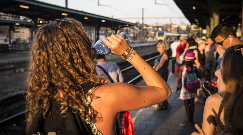 Moins de trains en heure de pointe lundi et mardi.
