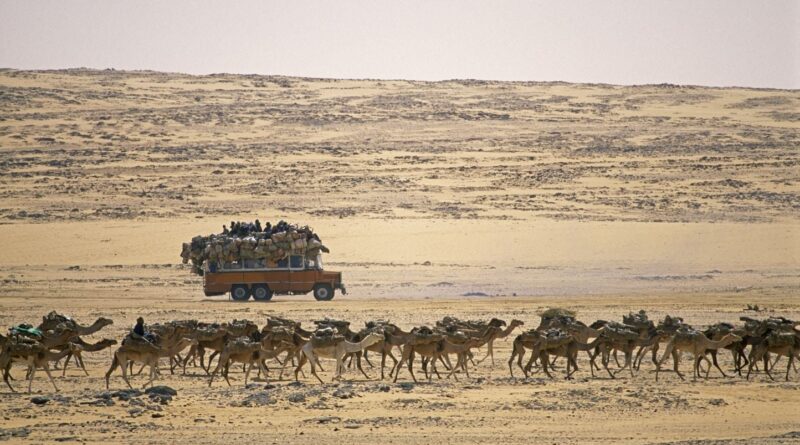 Niger : 49 personnes meurent de soif dans le désert après une panne de camion