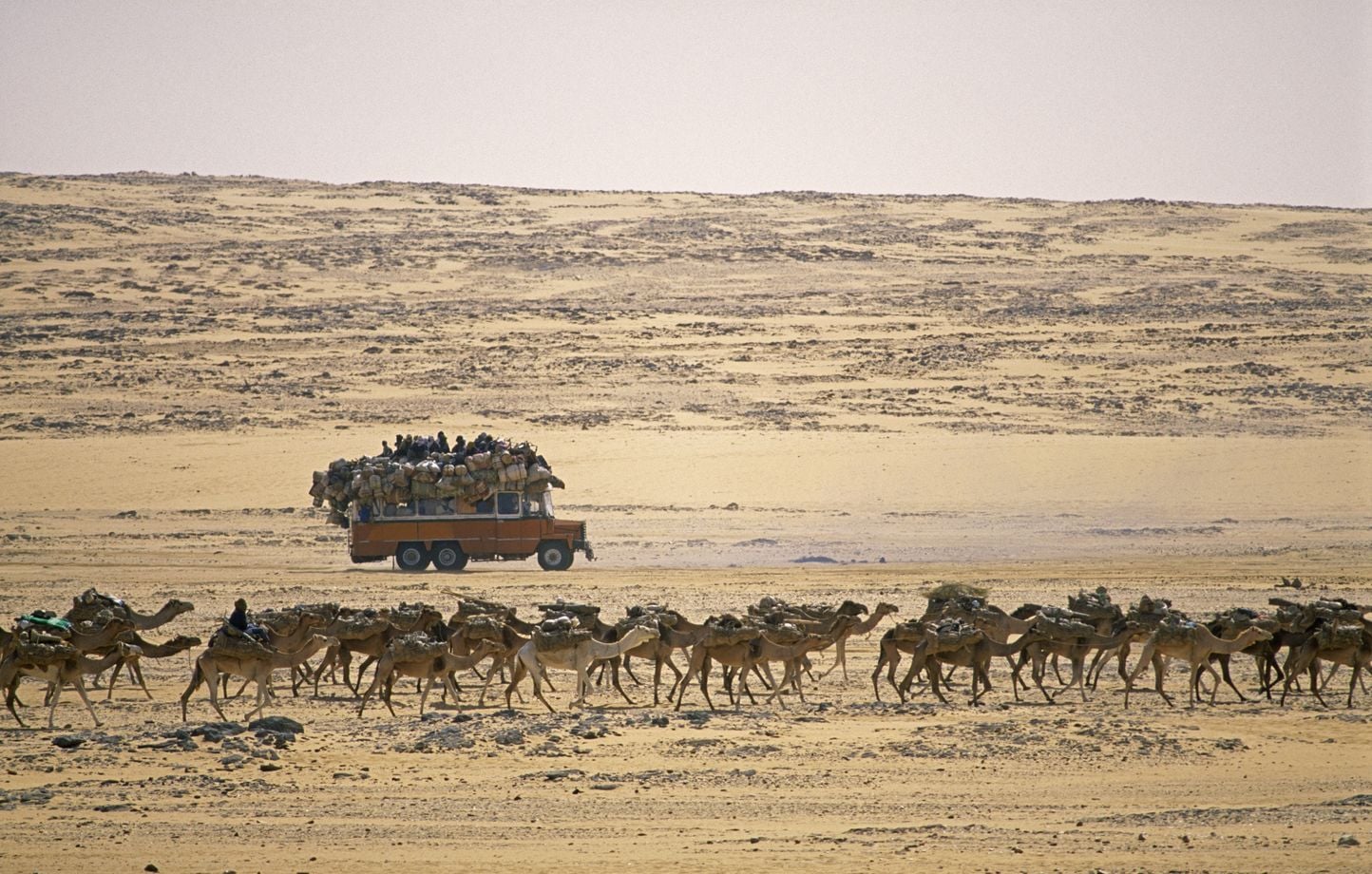 Niger : 49 personnes meurent de soif dans le désert après une panne de camion