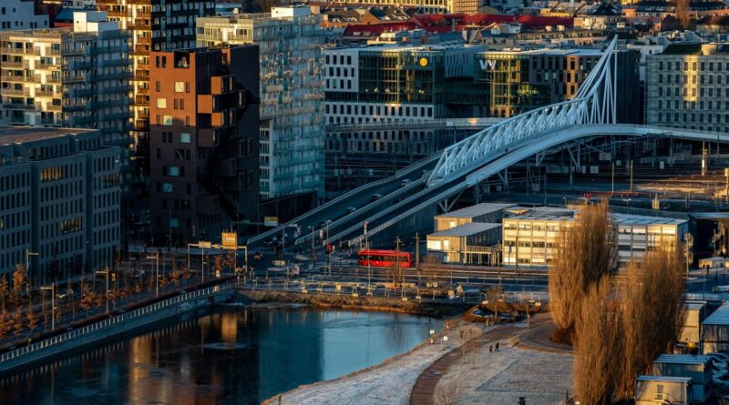 Norvège : Un élan abattu au cœur d'Oslo