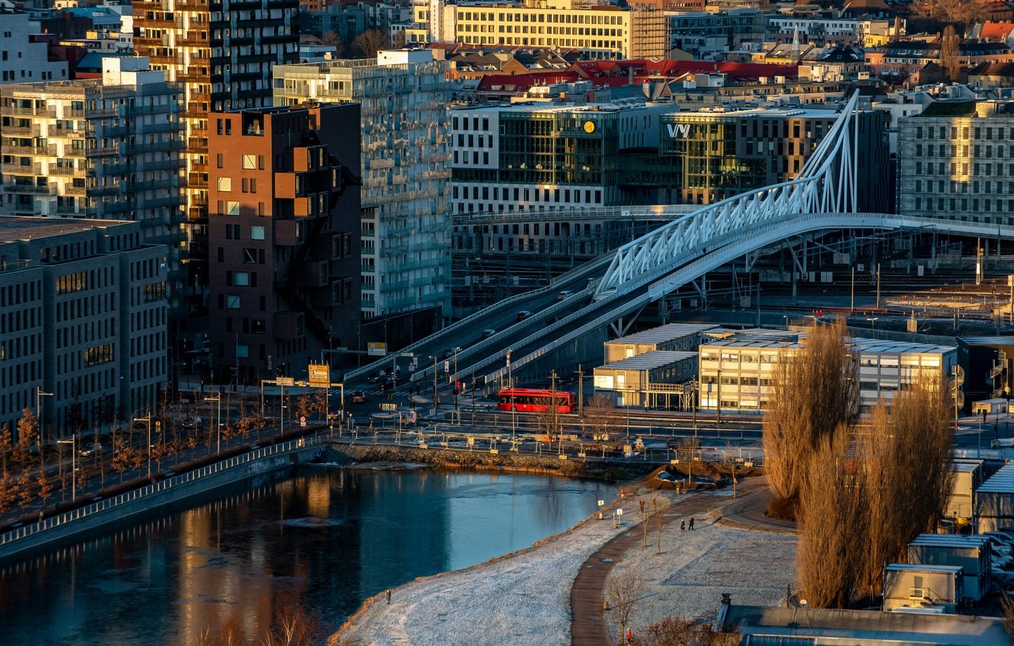 Norvège : Un élan abattu au cœur d'Oslo