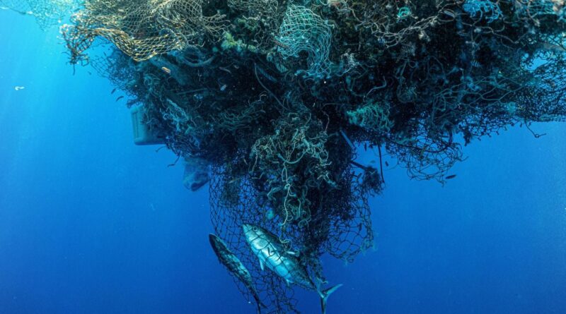 Océan : « Le continent de plastique, six fois la France, les nanoplastiques »