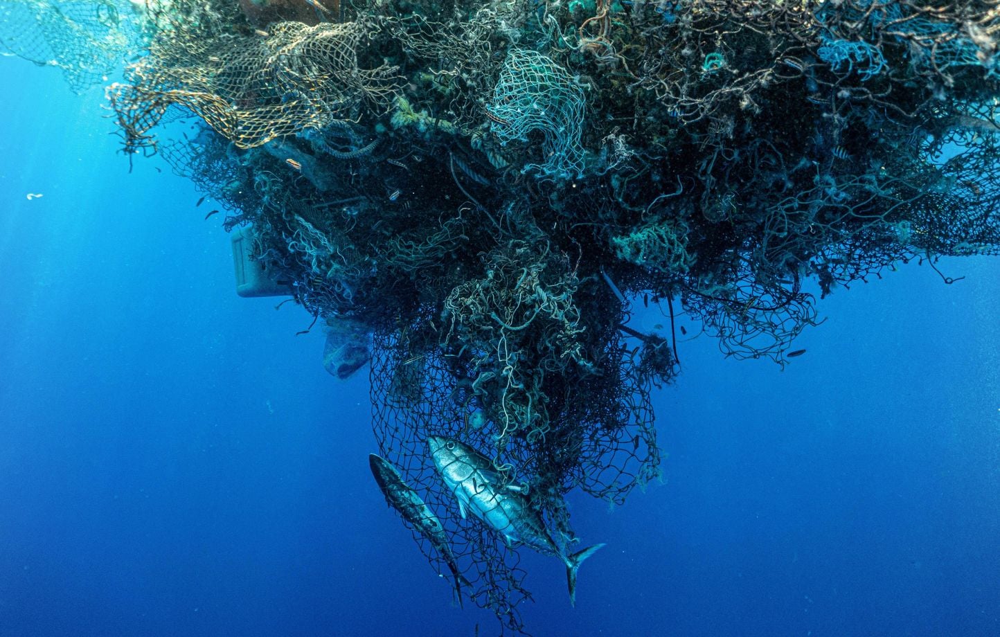 Océan : « Le continent de plastique, six fois la France, les nanoplastiques »