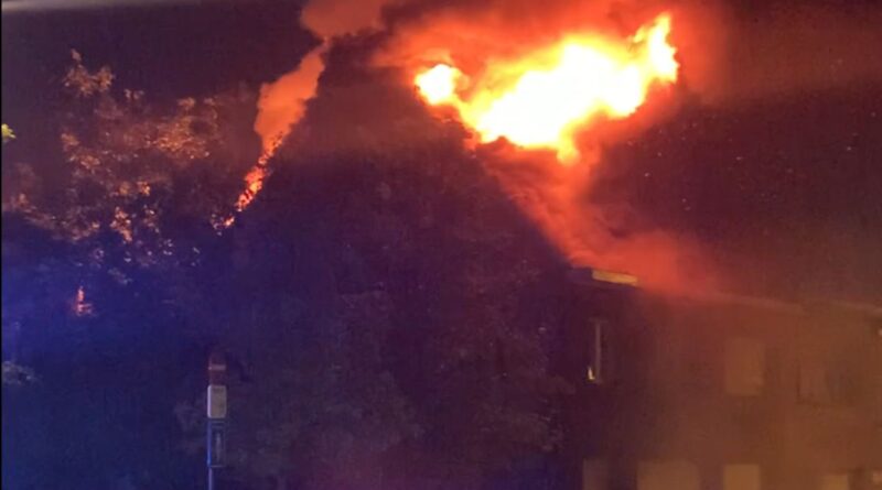 Orages en Belgique : un mort à La Hulpe, plusieurs blessés.