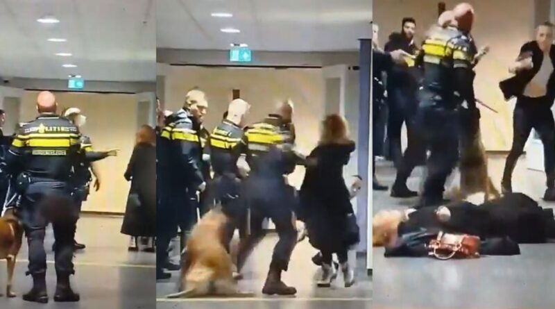 Pays-Bas : Vidéo d'une femme enceinte au sol par un policier