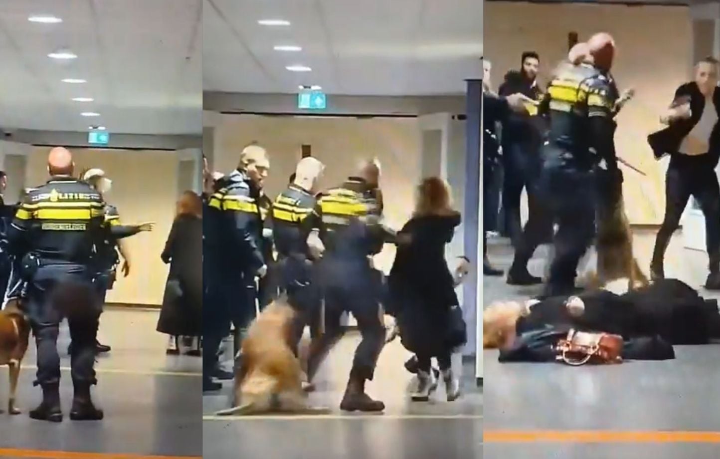 Pays-Bas : Vidéo d'une femme enceinte au sol par un policier
