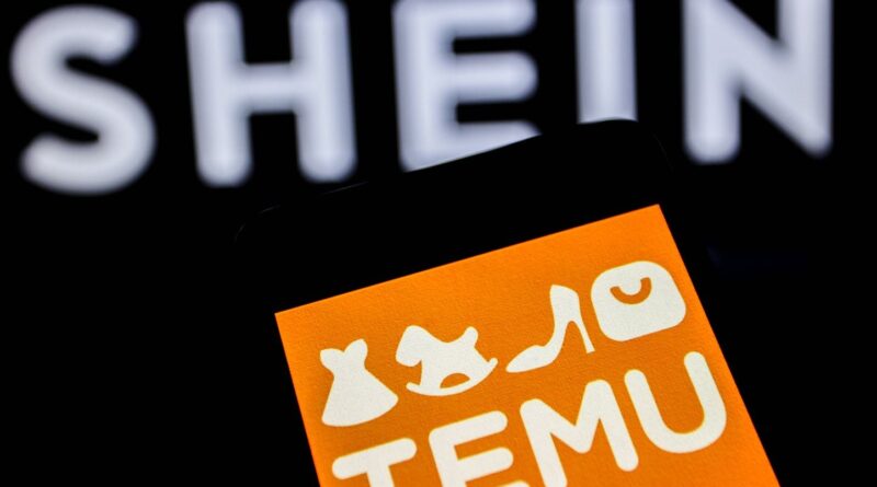 Petits colis : la taxe française de 2 euros suspendue mercredi.