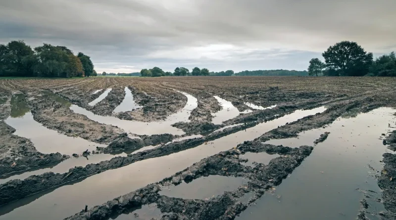 Pluies et orages intenses : la FWA souligne que les agriculteurs ne doivent pas porter seuls les risques climatiques