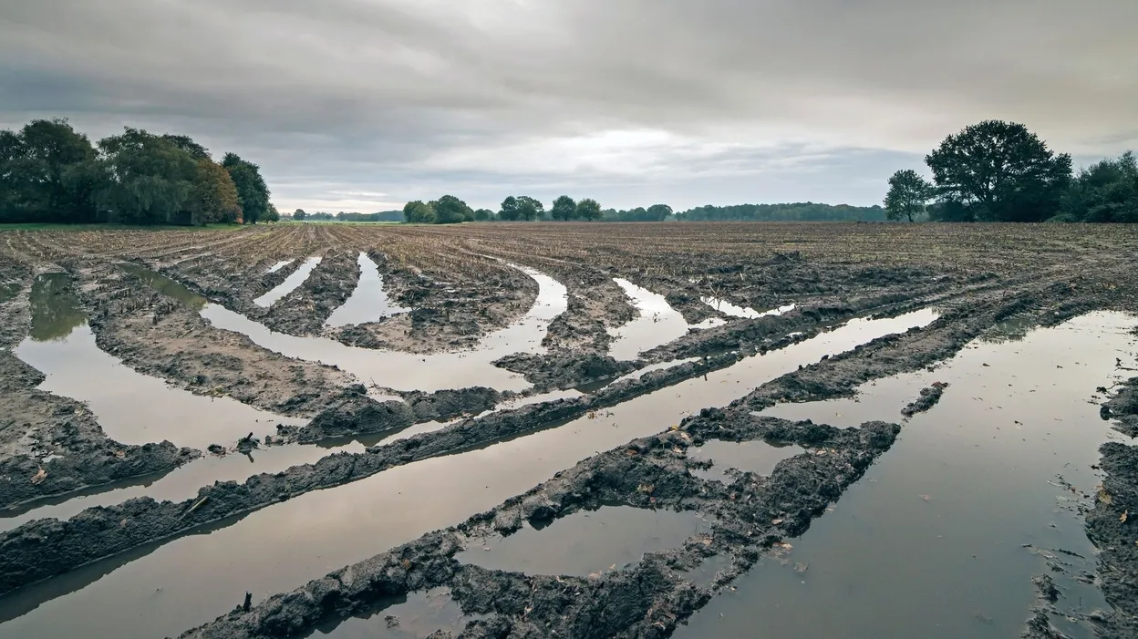 Pluies et orages intenses : la FWA souligne que les agriculteurs ne doivent pas porter seuls les risques climatiques