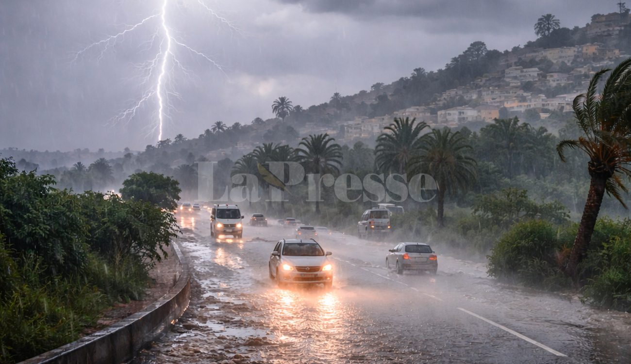 Pluies intenses et orages : alerte sur les cultures de blé et d'orge