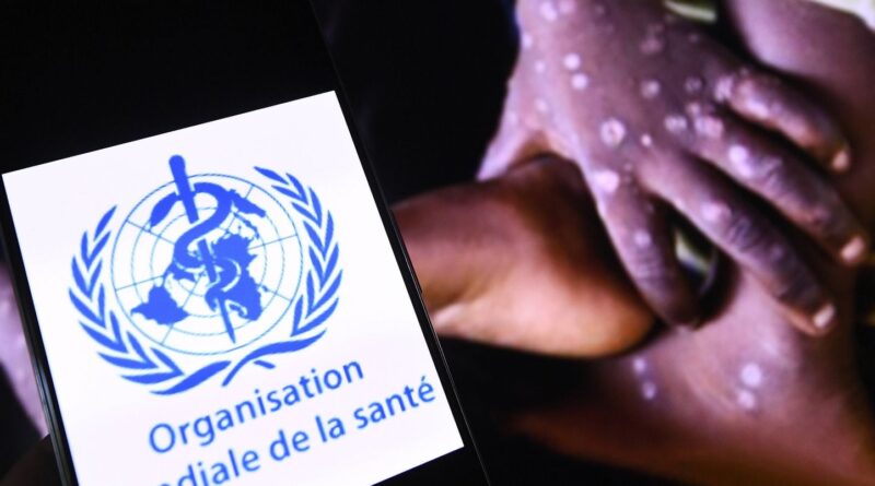 Pourquoi les complotistes s'acharnent-ils sur l'OMS ?
