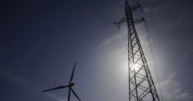 Prix de l’électricité : "Pas de peur d’allumer la climatisation", déclare le régulateur.