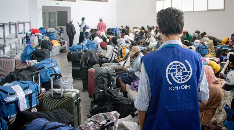 Programme de l’OIM : Près de 260 migrants subsahariens rentrent chez eux.