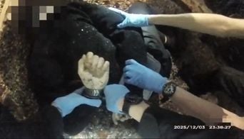 Royaume-Uni : Étudiant menotté agonise en vidéo lors du procès