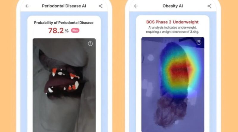 Samsung évalue la santé de votre chien avec une photo Galaxy