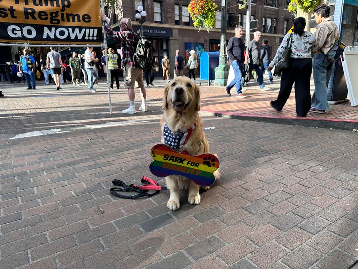 Bark, le chien pour la paix et l'amour (et contre Trump, l'ICE et la haine).